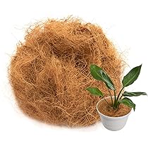 ラベニア ヤシ ファイバー鉢 お皿付き ラベニア ヤシ ファイバー鉢 お皿付き ラベニア ヤシ ファイバー鉢 お